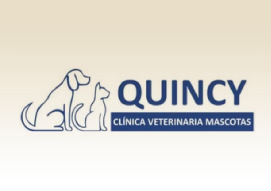 QUINCY Hospital Equinos
