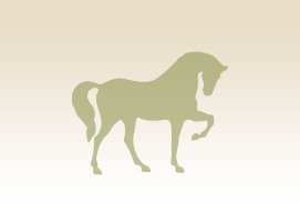 AGRO COMERCIAL LOS LLEUQUE