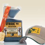 Medalla de Oro