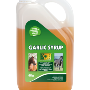 GARLIC SYRUP