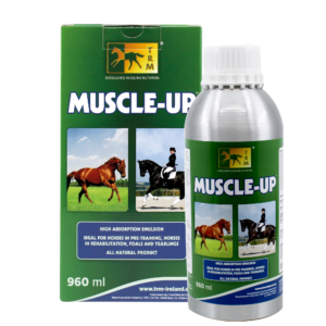 MUSCLE-UP
