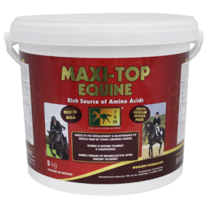 MAXI-TOP EQUINE