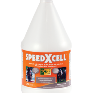 SPEEDXCELL