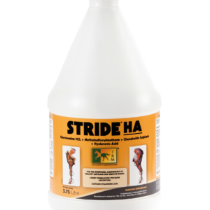 STRIDE HA